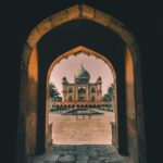 pexels-jeswinthomas-1007431