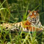 pexels-emrahayvali-26049965